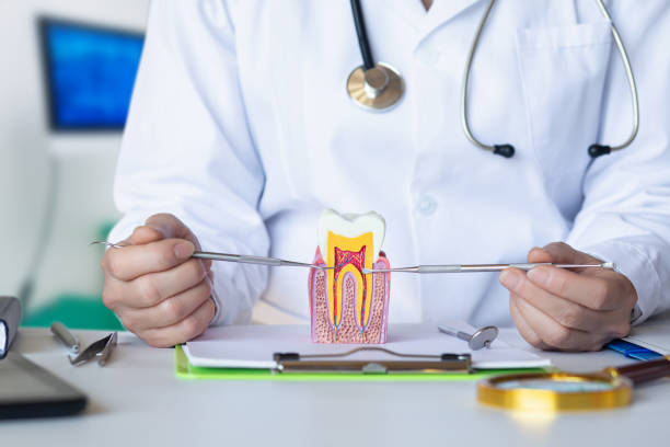Best Weekend Emergency Dentist in Moundridge, KS